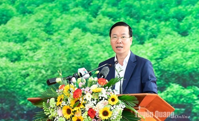 State President launches tree planting festival 2024